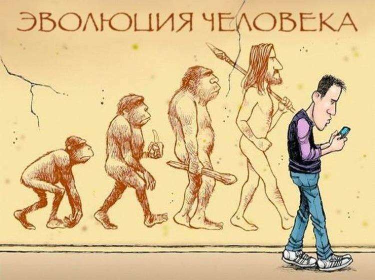19 сатирических карикатур про эволюцию