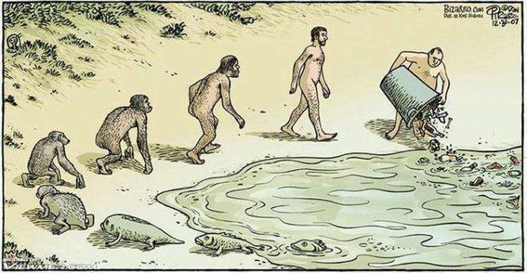 19 сатирических карикатур про эволюцию