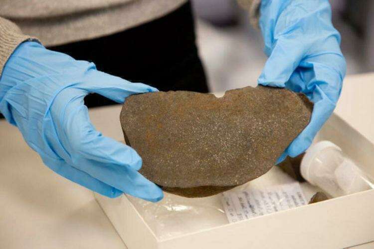 Отпиленный кусок метеорита показывает его внутреннюю структуру. https://fb.ru/