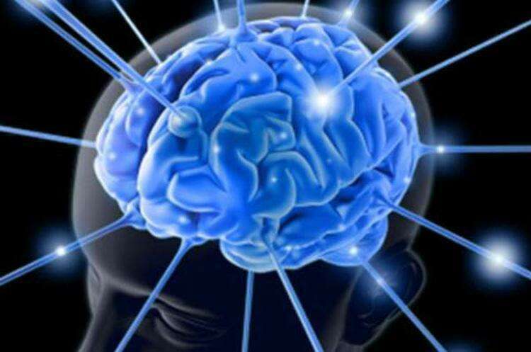 Привычки, негативно влияющие на головной мозг и память