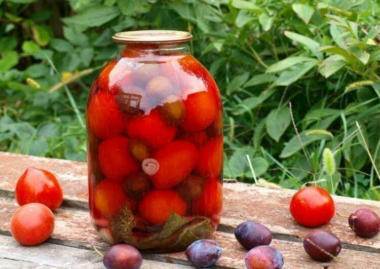 Маринованные томаты со сливой
