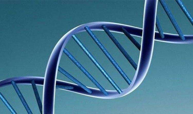 Факты про ДНК, благодаря которым вы узнаете о себе немного больше