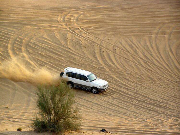 Сафари в пустыне