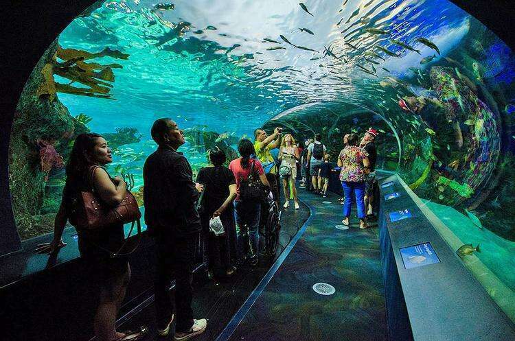 Канадский аквариум Рипли