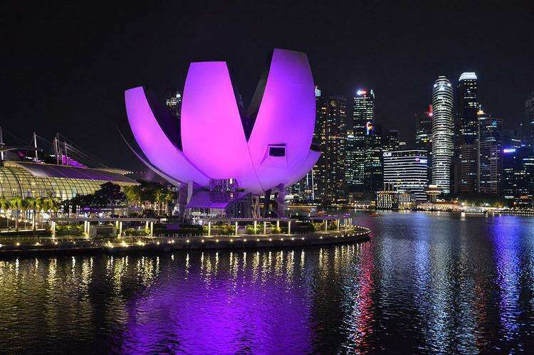 Достопримечательности Сингапура: Музей искусства и науки