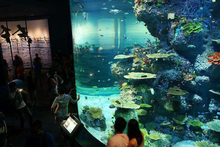 Достопримечательности Сингапура: Морской аквариум